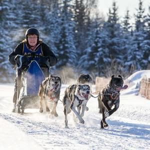 Meet your Posher, Lois